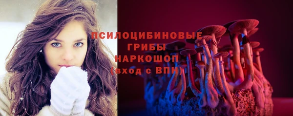 дмт Баксан